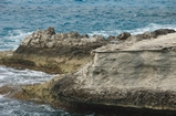 Pleistocene reef, beach, and dunes. Photo taken by Ned Frost