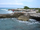 Pleistocene reef, beach, and dunes. Photo taken by Ryan Phelps