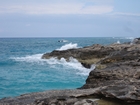 Pleistocene reef, beach, and dunes. Photo taken by Ryan Phelps