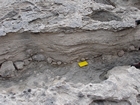 Pleistocene reef, beach, and dunes. Photo taken by Ryan Phelps
