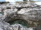 Pleistocene reef, beach, and dunes. Photo taken by Ryan Phelps