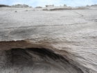 Pleistocene reef, beach, and dunes. Photo taken by Ryan Phelps