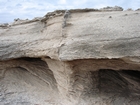 Pleistocene reef, beach, and dunes. Photo taken by Ryan Phelps