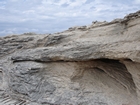 Pleistocene reef, beach, and dunes. Photo taken by Ryan Phelps