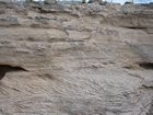 Pleistocene reef, beach, and dunes. Photo taken by Ryan Phelps