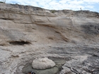 Pleistocene reef, beach, and dunes. Photo taken by Ryan Phelps