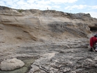 Pleistocene reef, beach, and dunes. Photo taken by Ryan Phelps