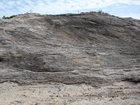 Pleistocene reef, beach, and dunes. Photo taken by Ryan Phelps