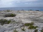 Pleistocene reef, beach, and dunes. Photo taken by Ryan Phelps