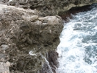 Pleistocene reef, beach, and dunes. Photo taken by Ryan Phelps