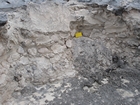 Pleistocene reef, beach, and dunes. Photo taken by Ryan Phelps