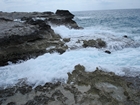 Pleistocene reef, beach, and dunes. Photo taken by Ryan Phelps