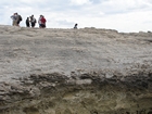 Pleistocene reef, beach, and dunes. Photo taken by Ryan Phelps