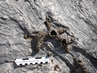 Pleistocene reef, beach, and dunes. Photo taken by Ryan Phelps