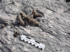 Pleistocene reef, beach, and dunes. Photo taken by Ryan Phelps