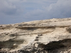 Pleistocene reef, beach, and dunes. Photo taken by Ryan Phelps