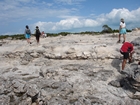 Pleistocene reef, beach, and dunes. Photo taken by Ryan Phelps