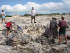 Pleistocene reef, beach, and dunes. Photo taken by Ryan Phelps