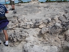 Pleistocene reef, beach, and dunes. Photo taken by Ryan Phelps