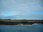 Pleistocene reef, beach, and dunes. Photo taken by Christopher Kendall