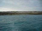 Pleistocene reef, beach, and dunes. Photo taken by Christopher Kendall