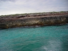 Pleistocene reef, beach, and dunes. Photo taken by Christopher Kendall