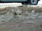 Note anhydrite layer and nodules (white-grey material that looks like cream cheese) in a matrix of storm washover and outwash (light brown sediment). This layer just above the marine water table and below the surface halite crusts. Note the vertical tubes (filled with the darker sediment) penetrating the anhydrite nodules and layers. These tubes have smooth curvillinar walls that appear to have been produced by small insects. Musafa Channel Section Abu Dhabi