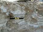 Note anhydrite layer and nodules (white-grey material that looks like cream cheese) in a matrix of storm washover and outwash (light brown sediment). This layer just above the marine water table and below the surface halite crusts. Note the vertical tubes (filled with the darker sediment) penetrating the anhydrite nodules and layers. These tubes have smooth curvillinar walls that appear to have been produced by small insects. Musafa Channel Section Abu Dhabi