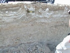 Note anhydrite layer and nodules (white-grey material that looks like cream cheese) in a matrix of storm washover and outwash (light brown sediment). This layer just above the marine water table and below the surface halite crusts. Note the vertical tubes (filled with the darker sediment) penetrating the anhydrite nodules and layers. These tubes have smooth curvillinar walls that appear to have been produced by small insects. Note the intertidal to just subtidal lagoonal muds and sands below the anhydrite layers. Musafa Channel Section Abu Dhabi