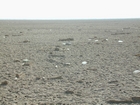 Qanatir Sabkha traverse Abu Dhabi