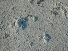 Qanatir Sabkha traverse Abu Dhabi
