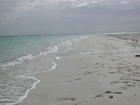 Al Bahrani Island High Energy windward ooid forming shoal
