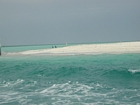 Indigenous Cormorants (Lawha AbuDhabi