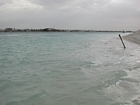 East of Al Bahrani Island pure ooid shoals