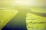 Reef Abu Dhabi Tidal Channel