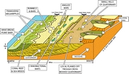 Angled Bars and Algal Mat