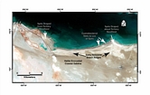 East of Mirfa angled bars of grapestone and bioclastic sands collecting on the coastal terrace. Note the cyanobacterial mats collecting to the lea of the spits