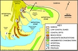 J.Dhanna Detailed Map of Spit Bay