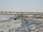 Dhabaiya Dunes Halophytes and Beach Rocks