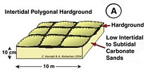 Hardground Polygons