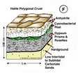 Halite Polygons