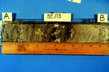 Core of Gypsum & Algal Peat