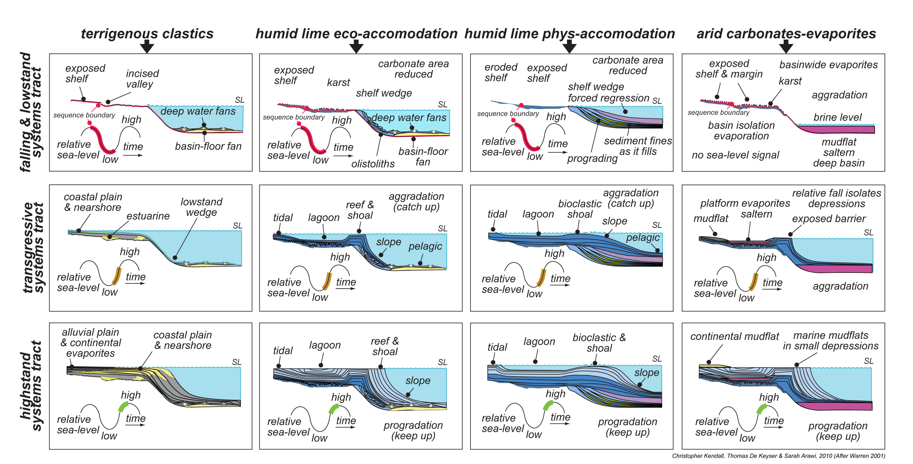 Nerve Stimulation in Health and