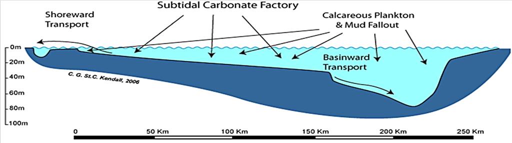 Carbonate Rocks – Geology is the Way