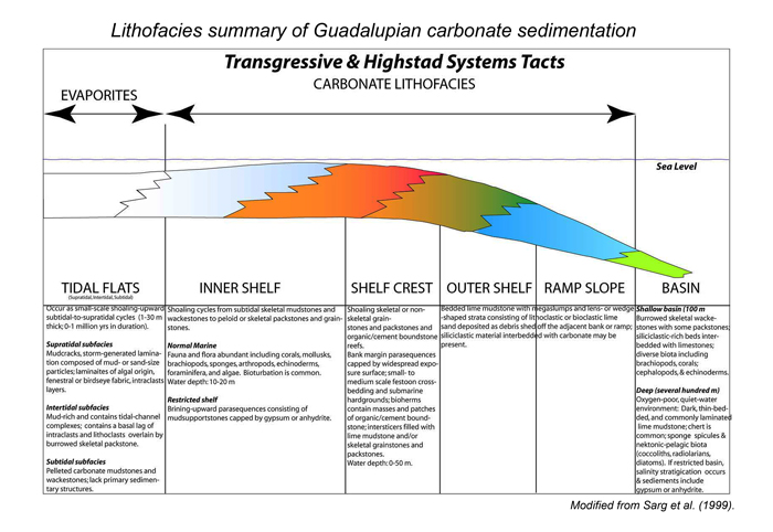 evolution of sequence stratigraphy Sequence stratigraphy is a relatively new branch of geology that attempts to link scale of human impact on planet has changed course of earth's history,. evolution of sequence stratigraphy Sequence stratigraphy is a relatively new branch of geology that attempts to link scale of human impact on planet has changed course of earth's history,.