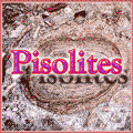 Pisolites