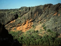 Windjana Gorge