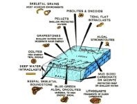 Settings and Lime Mud