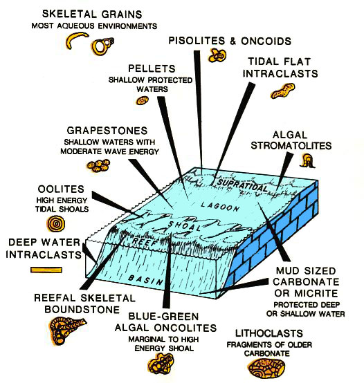 online symmetries in elementary particle physics 1964 international school of physics ettore majorana a