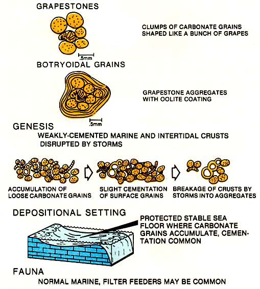 Important attributes of grapestones